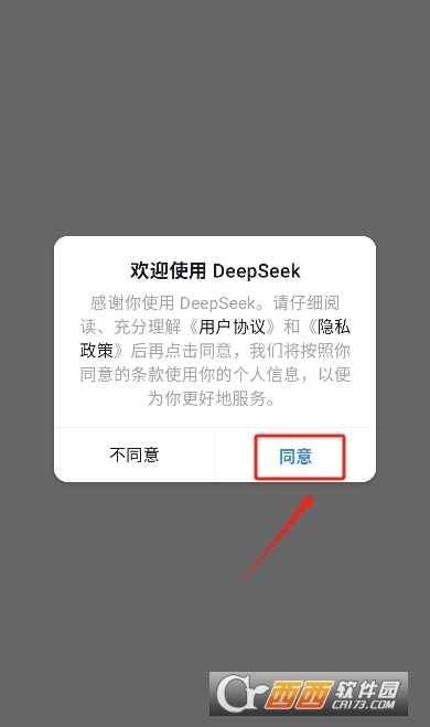 deepseek国际版app手机版