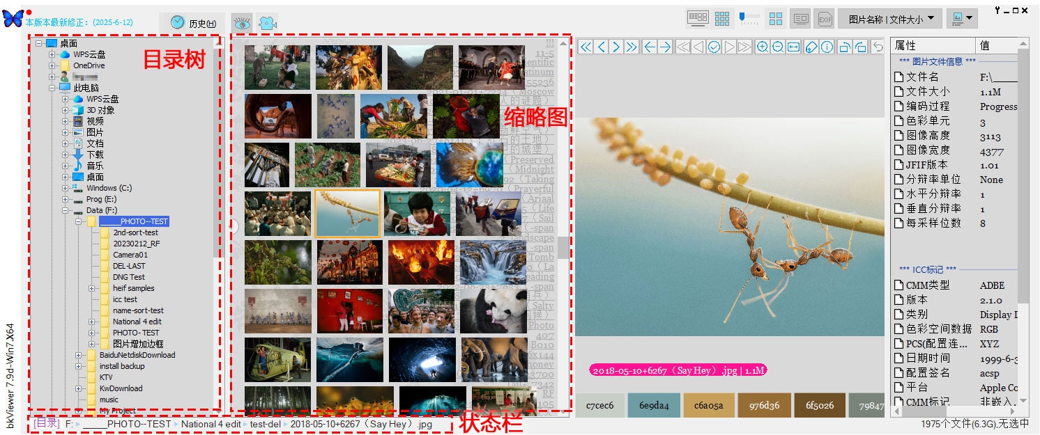 bkViewer