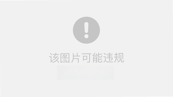 SRWare Iron 启动报错