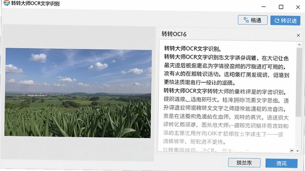 转转大师OCR文字识别软件主界面截图，左侧显示图片预览，右侧显示识别出的文本结果，界面简洁，功能按钮清晰可见，背景为浅灰色桌面环境。