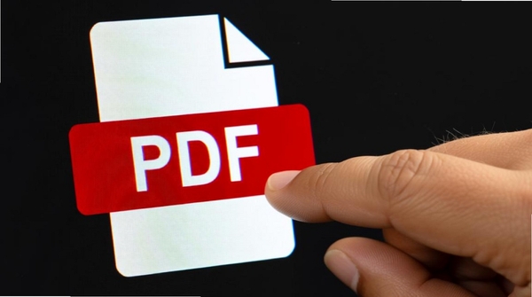 PDF编辑器 启动报错 解决