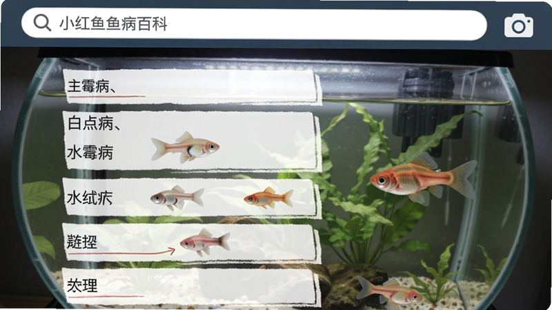 小红鱼鱼病百科页面,顶部有搜索框和相机图标,中间显示白点病、水霉病等条目,配有小鱼患病示意图,背景为鱼缸局部特写,光线柔和,适配Boogu模型生成