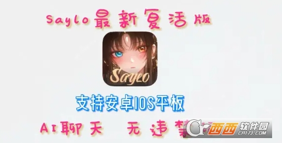 新版sayloAI官方正版