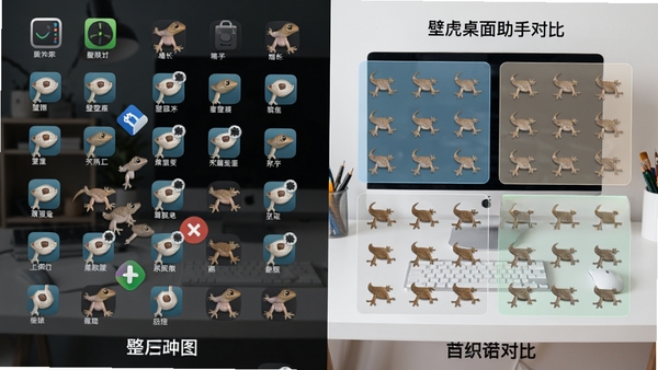 壁虎桌面助手桌面整理功能效果图，展示整理前后对比，左侧杂乱图标，右侧自动分区整齐排列，分区框带有半透明背景，图标排列有序，背景为干净的工作桌面，视觉对比强烈