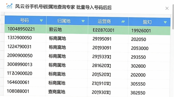 风云谷手机号码归属地查询专家批量导入号码后的表格界面，显示号码、归属地、运营商等列，数据排列整齐，界面配色清爽