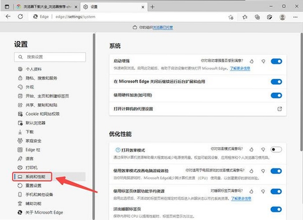 狂速浏览器 设置界面 硬件加速 选项