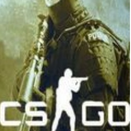 反恐精英全球攻势CS中文版段首LOGO