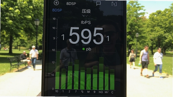 8DSP声压级测量界面,手机显示实时分贝数值和柱状图表,背景为户外公园环境,有绿树和行人,阳光明媚,界面数字清晰,色彩自然