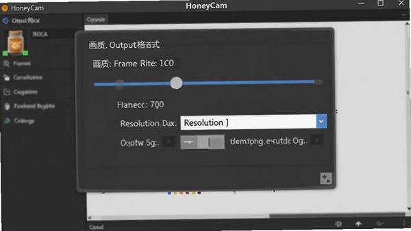 HoneyCam软件设置界面截图,展示输出格式与画质调节选项,包括帧率滑块和分辨率下拉菜单,背景为软件操作面板。
