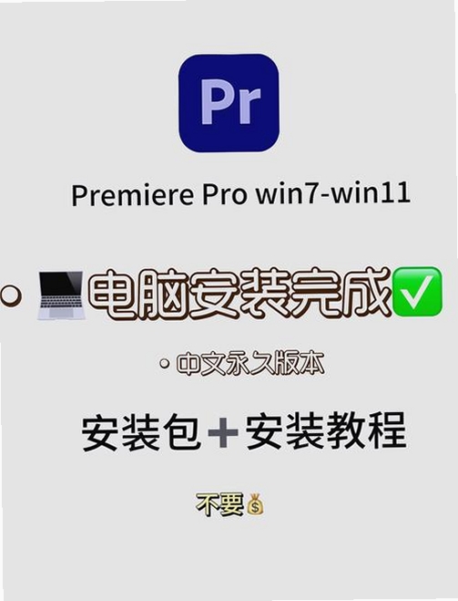 DM Pro安装教程 电脑截图