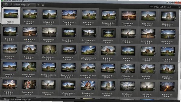 Adobe Bridge CS4 的缩略图网格视图，展示大量图片素材，每个缩略图下方显示文件名和评分星级，界面清晰有序，背景为深灰色，重点突出图片预览效果。