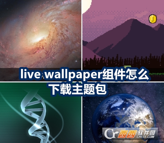 ?live wallpaper组件正版下载免费版