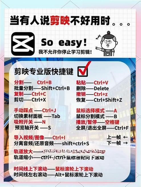 PhotoMeister 使用教程 技巧