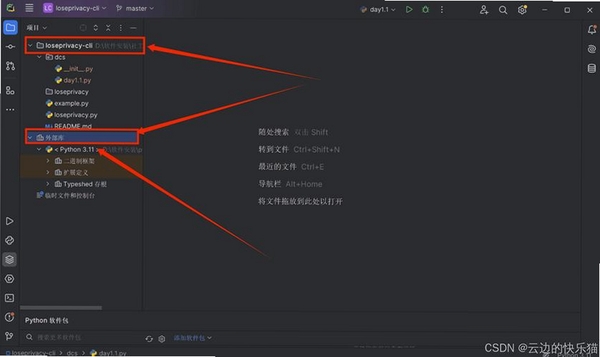 黑色闪客 for SWF探索者 脚本查看功能截图