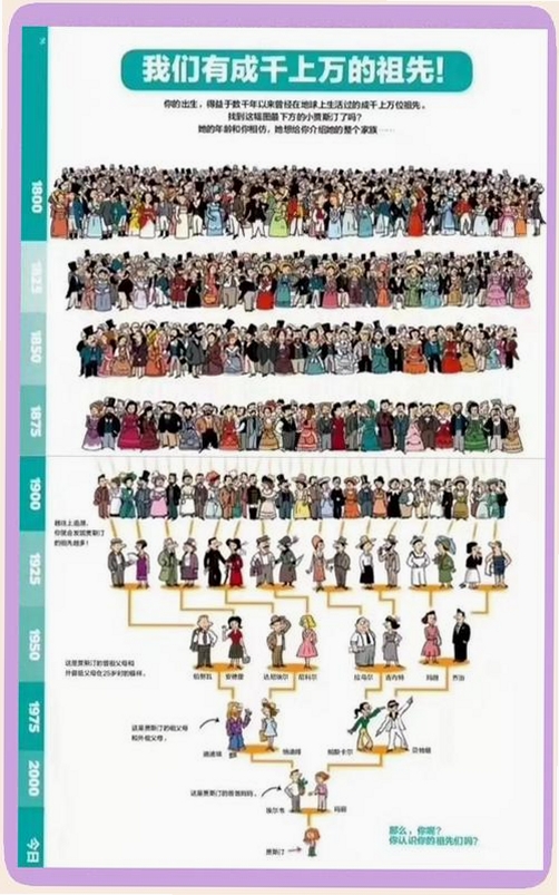 永恒族谱 世系图 效果图