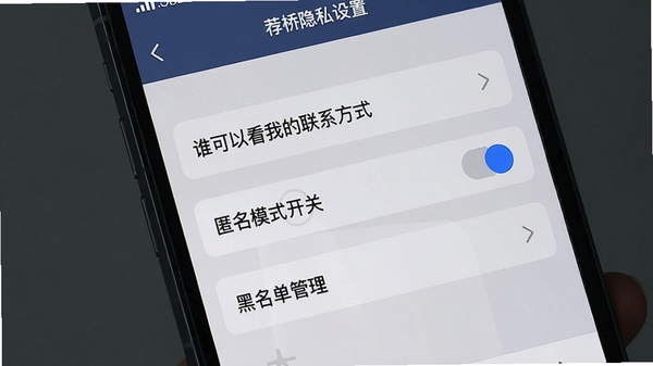 荐桥隐私设置界面展示,画面为手机设置页面,清晰显示“谁可以看我的联系方式”、“匿名模式开关”、“黑名单管理”等选项,背景为深蓝色与灰色搭配,营造安全、稳重、可信赖的视觉感受
