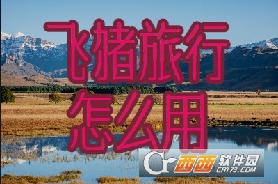 飞猪旅行2026最新版 飞猪旅行2026最新版
