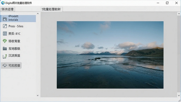 数码照片批量处理软件主界面,左侧功能列表,右侧图片预览窗口,整体设计简洁明了,背景为浅灰色调,突出软件功能布局