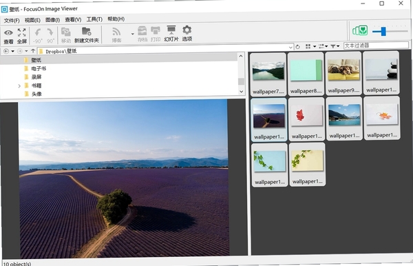FocusOn Image Viewer 幻灯片放映效果图