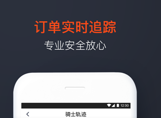 顺丰同城急送骑士版"/