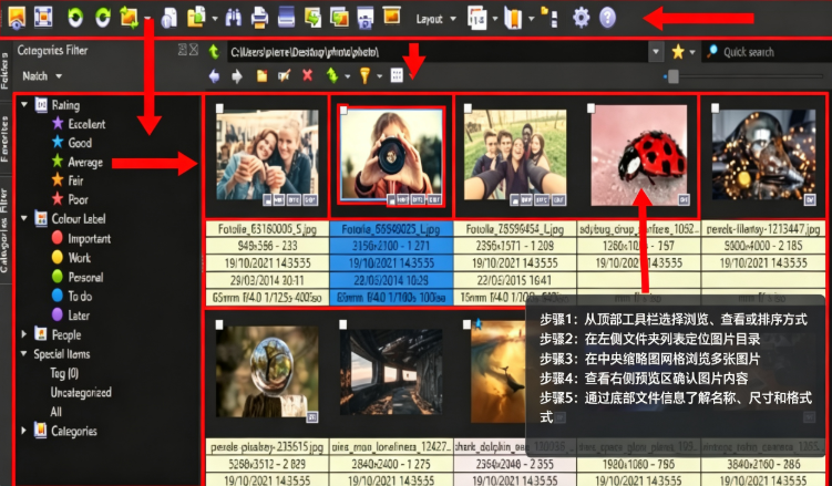 XnView MP最新中文版