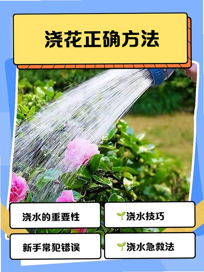 花掌柜 浇水提醒