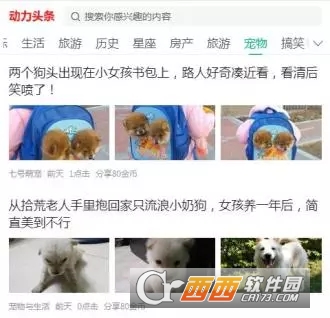 动力头条