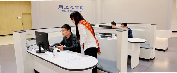 爱佳县政务服务大厅在线办理界面