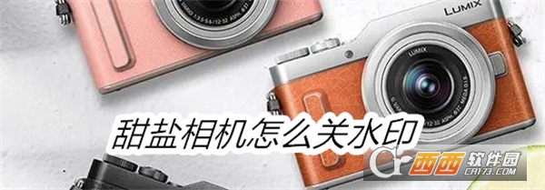 甜盐相机(滤镜相机)