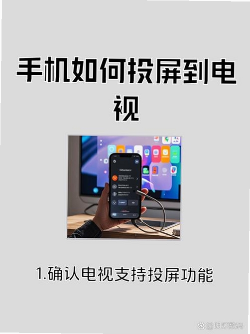 蓝莓投屏手机连接电视步骤详解图