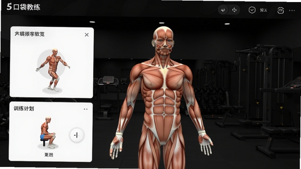 口袋教练软件主界面预览图，展示3D人体肌肉解剖模型，背景为深色健身房场景，界面简洁清晰，突出动作教学与训练计划模块，整体风格专业且现代，适合作为软件介绍首图