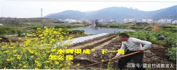 水到渠成水站 用户评价 安全