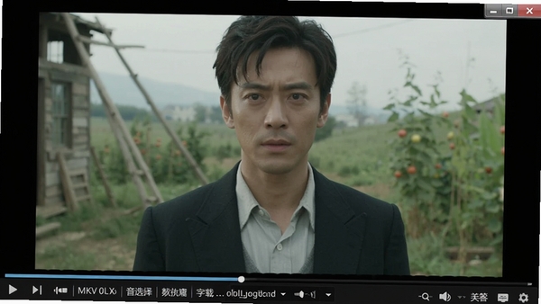 芙蓉视频播放器播放MKV格式电影画面，画面清晰，显示视频信息栏，包含音轨选择、字幕加载选项