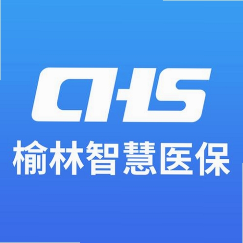榆林智慧医保 下载