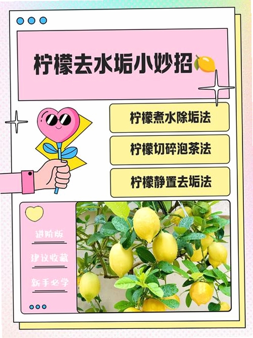 柠檬轻便常见问题解决方法教程