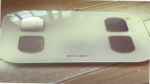 斐讯体脂称 最新版 下载