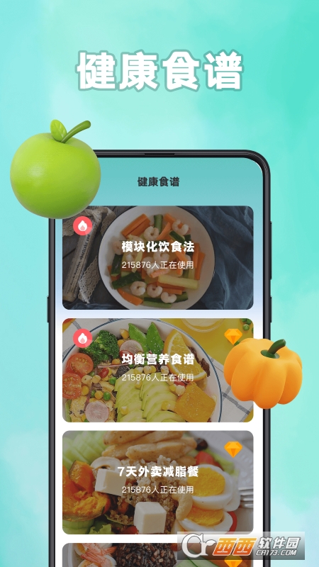 轻断食计食器工具 轻断食计食器工具