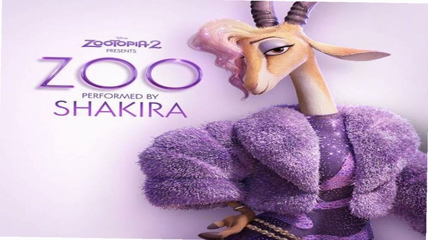 zoo 动物百科 安装教程