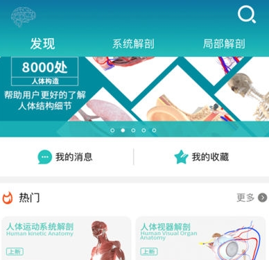 维萨里3D解剖教学 维萨里3D解剖教学