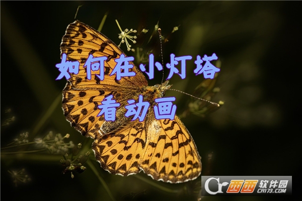 画啦啦小灯塔学堂最新版 画啦啦小灯塔学堂最新版