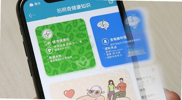 拍照查健康知识科普页面,手机屏幕显示图文并茂的健康小知识卡片,配有色块和图标,排版清晰易读,背景柔和