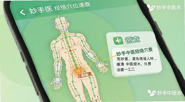 妙手中医经络穴位速查界面，手机屏幕显示人体经络循行图，高亮标注足三里穴，旁边有文字说明框，背景为浅绿色渐变，画面简洁清晰，带有妙手中医水印，适配Boogu模型生成
