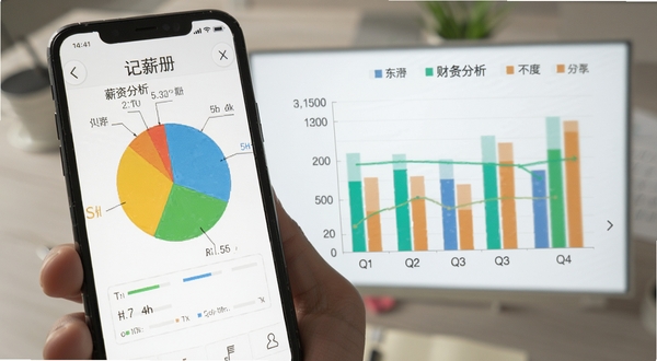 记薪册 数据统计图表 饼图柱状图 薪资分析 手机界面 可视化展示 财务记录