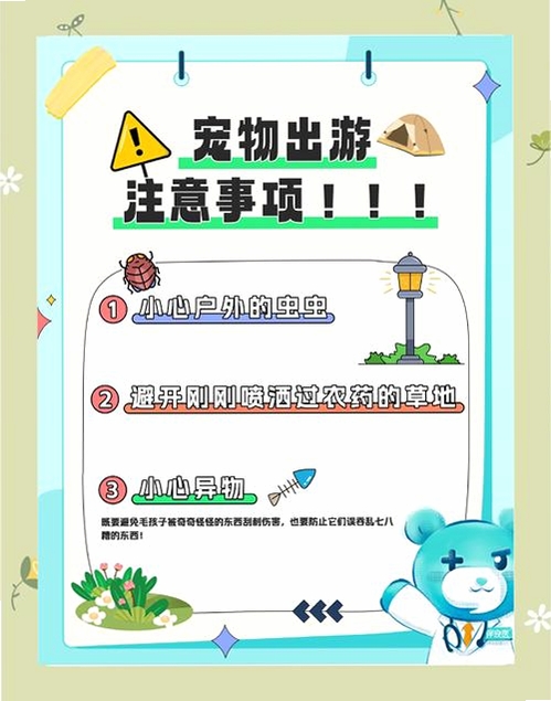 宠快达 安全吗