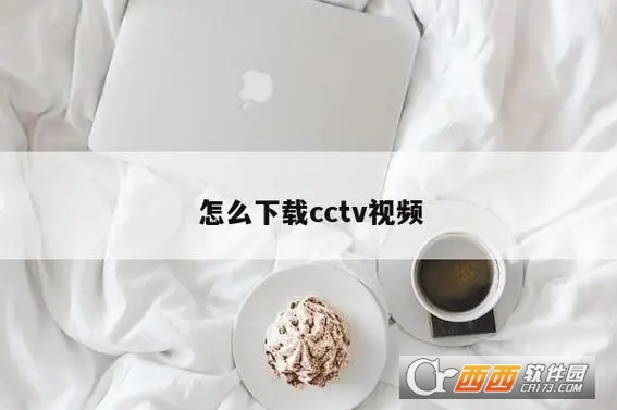 央视网视频下载器(自媒体必备神器) 央视网视频下载器(自媒体必备神器)