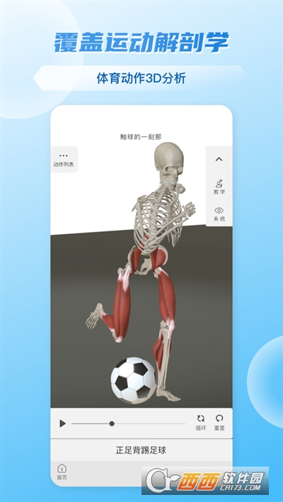 维萨里3D解剖软件app