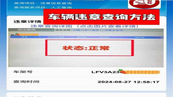 行车违章代码查 查询结果页面