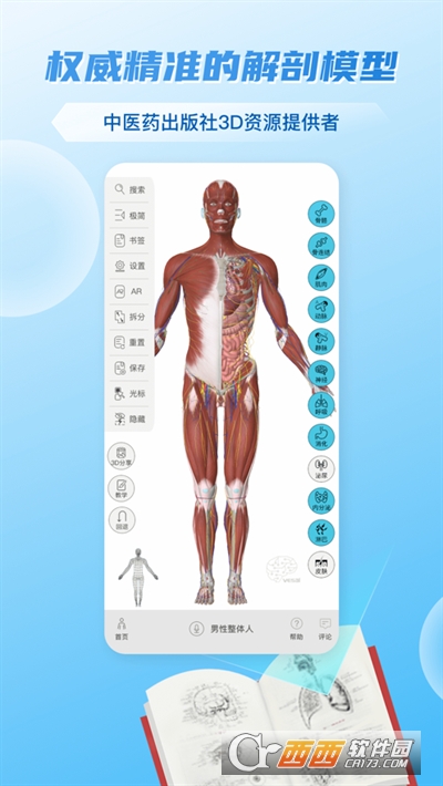 维萨里3D解剖软件app