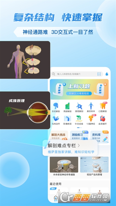 维萨里3D解剖软件app