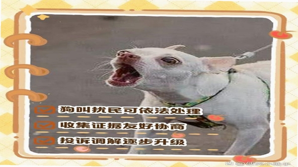 呼叫小狗 用户评价 反馈
